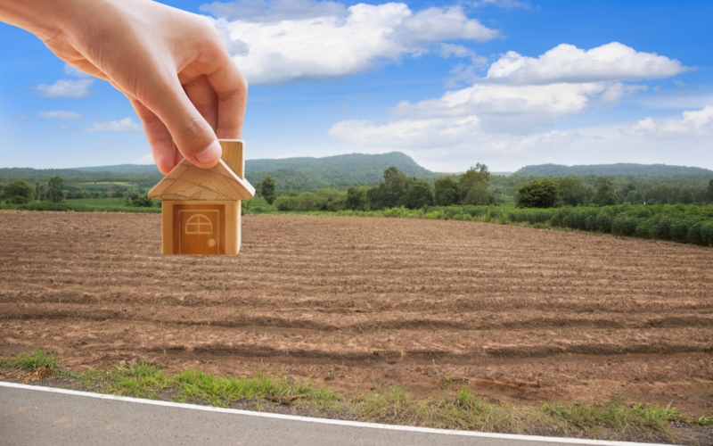 10 копеек за «квадрат»: как арендовать землю у государства