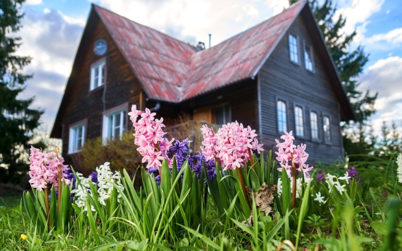 Кустарник и самовольное строительство: за что могут изъять дом и землю