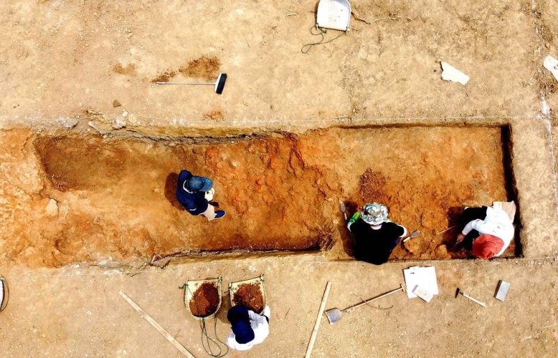 Найденный в Китае необычно крупный череп приписали неизвестному ранее виду древних людей