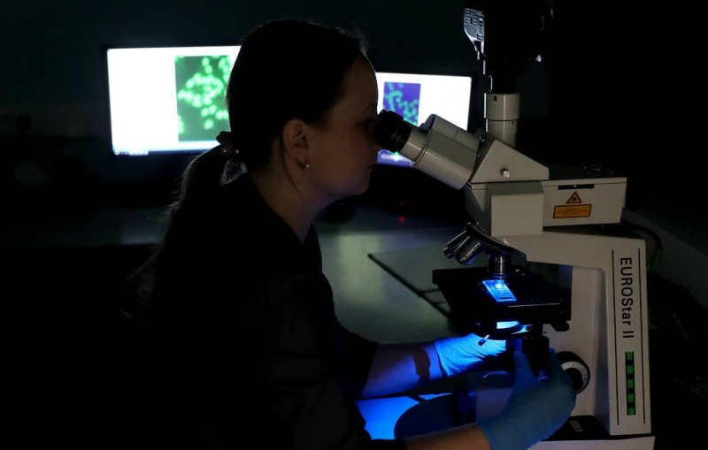 Открыт новый механизм восстановления поврежденной ДНК